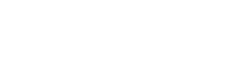 Light Owl Healing logo